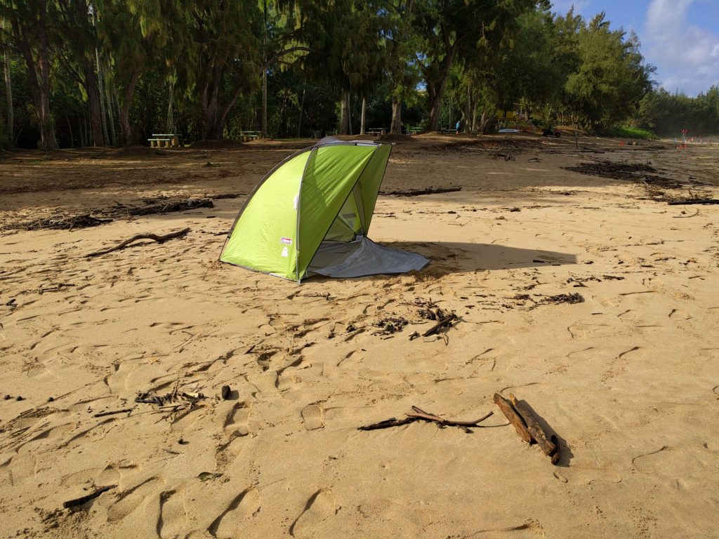 A green Coleman beach tent, set up on a wide beach, palm trees in the background.
